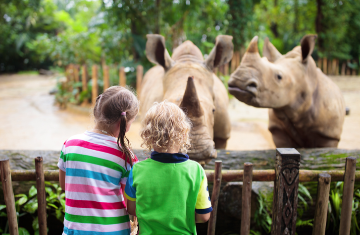 Six Tips To Teach Your Child About Endangered Animals 