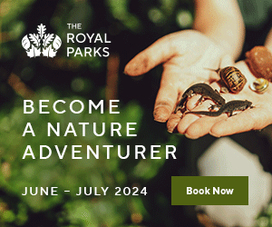 Advert: https://www.royalparks.org.uk/whats-on/nature-adventurers-jun-jul-24?utm_source=partner&utm_medium=enewsletter&utm_campaign=learning_june_july_events