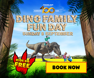 Advert: https://www.fontwellpark.co.uk/whats-on/family-fun-day-sunday-8-september