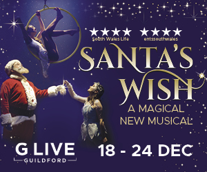 Advert: https://trafalgartickets.com/g-live-guildford/en-GB/event/family/santas-wish-tickets