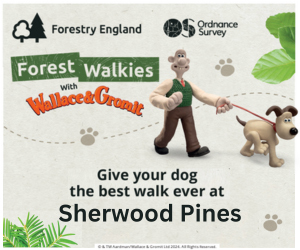 Advert: https://www.forestryengland.uk/sherwood-pines/forest-walkies