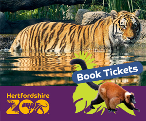 Advert: https://hertfordshirezoo.com/