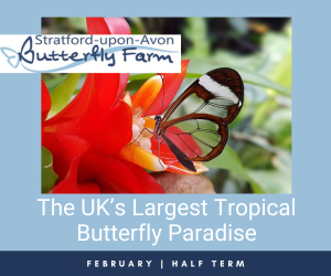Advert: https://www.butterflyfarm.co.uk/attraction/news/february-half-term
