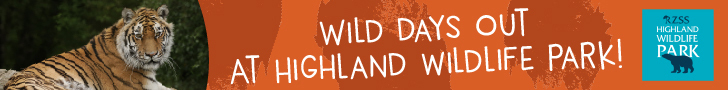 Advert: https://www.highlandwildlifepark.org.uk/tickets?utm_source=primary-times-fife&utm_medium=digital&utm_campaign=HWP-visit-2026&utm_content=easter-leaderboard-ad