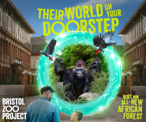 Advert: https://www.bristolzoo.org.uk/visit/african-forest