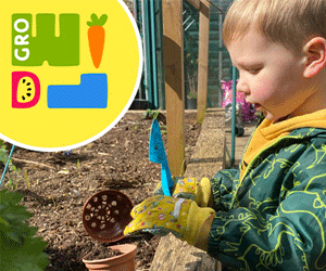 Advert: https://growild.io/links.html?utm_source=newsletter&utm_medium=magazine&utm_campaign=primary+times