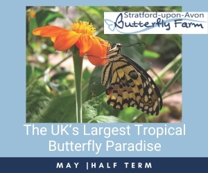 Advert: https://www.butterflyfarm.co.uk/attraction/news/may-half-term-at-the-butterfly-farm