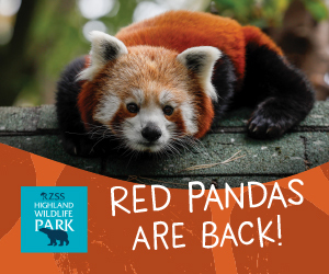 Advert: https://www.highlandwildlifepark.org.uk/tickets?utm_source=primary-times-fife&utm_medium=digital&utm_campaign=HWP-visit-2026&utm_content=summer-MPU-ad