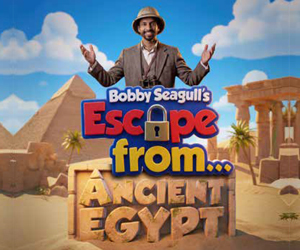 Advert: https://showplanr.com/show/bobby-seagulls-escape-from