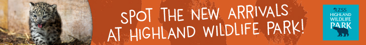 Advert: https://www.highlandwildlifepark.org.uk/tickets?utm_source=primary-times-fife&utm_medium=digital&utm_campaign=HWP-visit-2026&utm_content=back-to-school-leaderboard