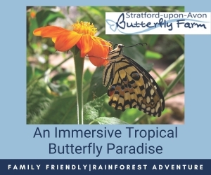 Advert: https://www.butterflyfarm.co.uk/attraction/