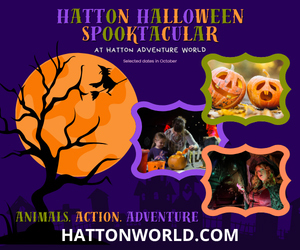 Advert: https://hattonworld.com/