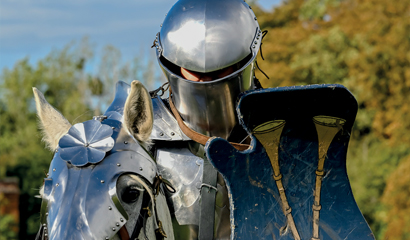 Meet Henry VIII this summer